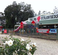 The Big Strawberry - Mackay Tourism