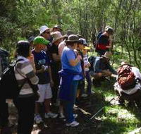 Warrumbungle National Park Discovery Program - Mackay Tourism