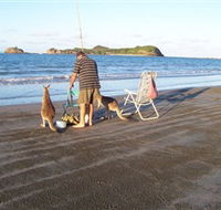 Cape Hillsborough National Park