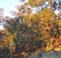Mount Alexander Regional Park - Mackay Tourism