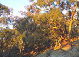 Mount Alexander Regional Park - Mackay Tourism 0