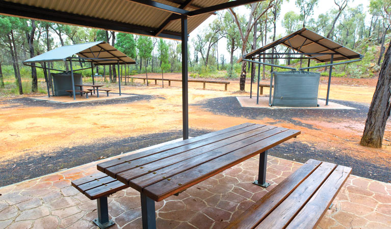 The Pilliga NSW Mackay Tourism
