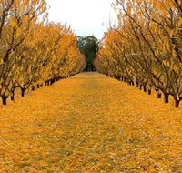 Sun Country on the Murray Farm Gate Trail - Mackay Tourism