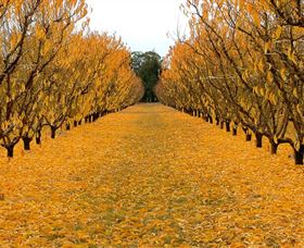 Sun Country On The Murray Farm Gate Trail - Mackay Tourism 0