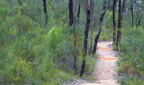 Sculptures In The Scrub Walking Track - Mackay Tourism 1