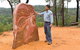 Sculptures In The Scrub Walking Track - thumb 0