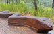Sculptures In The Scrub Walking Track - thumb 3