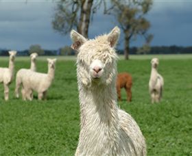 Creswick Woollen Mills - Mackay Tourism 1