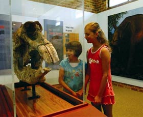 Australian Museum Diprotodon Exhibition - Mackay Tourism 0