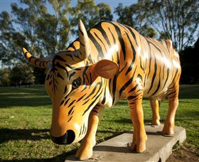 Greater Shepparton's Moooving Art - Mackay Tourism 1
