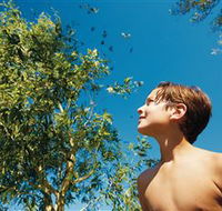 Bushwalking on Keswick Island - Mackay Tourism