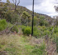 Lynchs loop trail - Mackay Tourism
