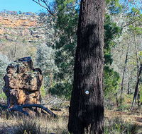 Eualdrie walking track - Mackay Tourism