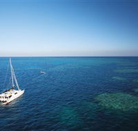 Bait Reef and Garys Lagoon Dive Site - Mackay Tourism