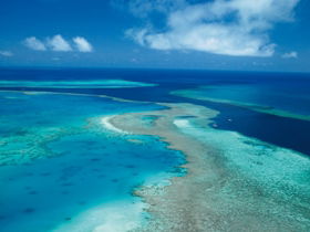 Fairey Reef - Mackay Tourism 2