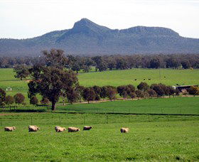French Park ACT Mackay Tourism