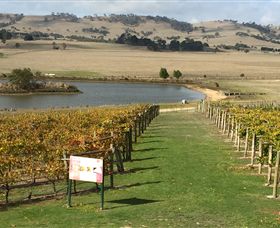 Grange Cleveland Winery - Mackay Tourism 1