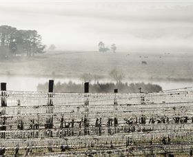 Grange Cleveland Winery - Mackay Tourism 7