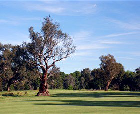 Corowa Golf Club - Mackay Tourism 5