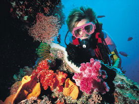 Great Barrier Reef - Whitsundays - Mackay Tourism 1