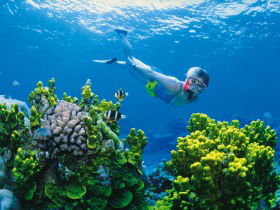Great Barrier Reef - Whitsundays - Mackay Tourism 3