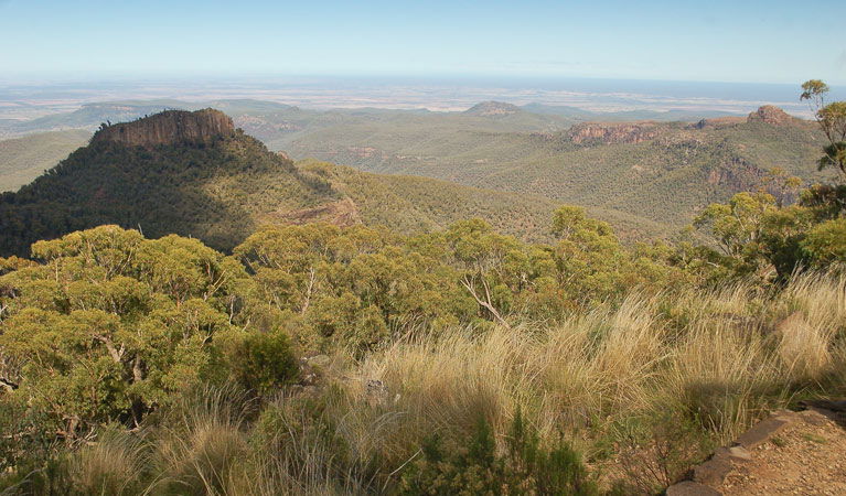 Kaputar NSW Mackay Tourism