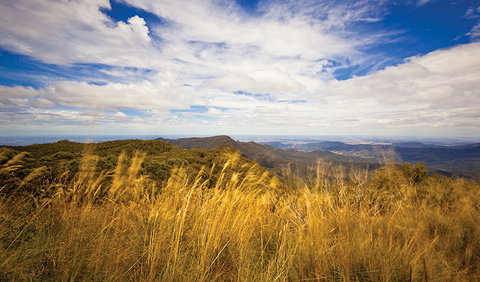 Mount Kaputar Summit Walk - Mackay Tourism 1