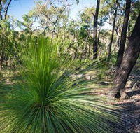 Brisbane Ranges National Park - Mackay Tourism