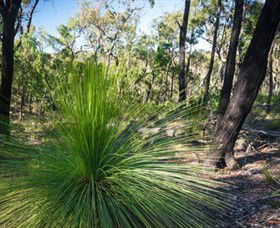 Brisbane Ranges National Park - Mackay Tourism 0