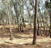 Chiltern-Mt Pilot National Park - Mackay Tourism