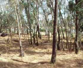 Chiltern-Mt Pilot National Park - Mackay Tourism 0