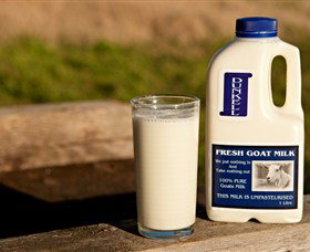 Dunkell Goats - Mackay Tourism 2