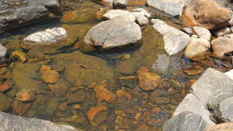 Mount Canobolas State Conservation Area - Mackay Tourism 2