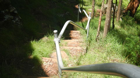 Mount Canobolas State Conservation Area - Mackay Tourism 1