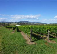 Hedberg Hill Wines - Mackay Tourism