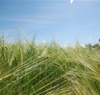 150 Degrees East Meridian - Mackay Tourism