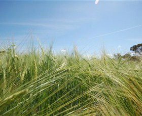 150 Degrees East Meridian - Mackay Tourism 0