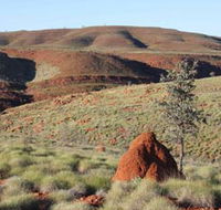 Camel Trail Millstream-Chichester National Park - Mackay Tourism