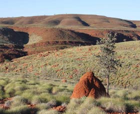 Camel Trail, Millstream-Chichester National Park - Mackay Tourism 0