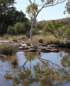 Camel Trail, Millstream-Chichester National Park - Mackay Tourism 3