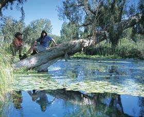 Millstream Chichester National Park - Mackay Tourism 1