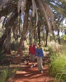 Millstream Chichester National Park - Mackay Tourism 2