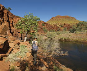 Millstream Chichester National Park - Mackay Tourism 3
