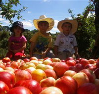 Bonny Glen Fruits - Mackay Tourism