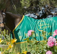 Living Legends The International Home of Rest for Champion Horses - Mackay Tourism