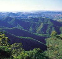 Kroombit Tops National Park - Mackay Tourism