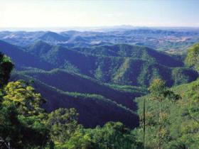 Kroombit Tops National Park - Mackay Tourism 0