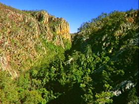 Kroombit Tops National Park - Mackay Tourism 2