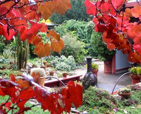 Out Of Town Nursery And Humming Garden - Mackay Tourism 1