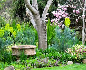 Out Of Town Nursery And Humming Garden - Mackay Tourism 4